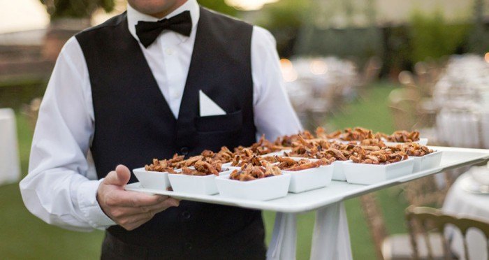 Plan de boda 