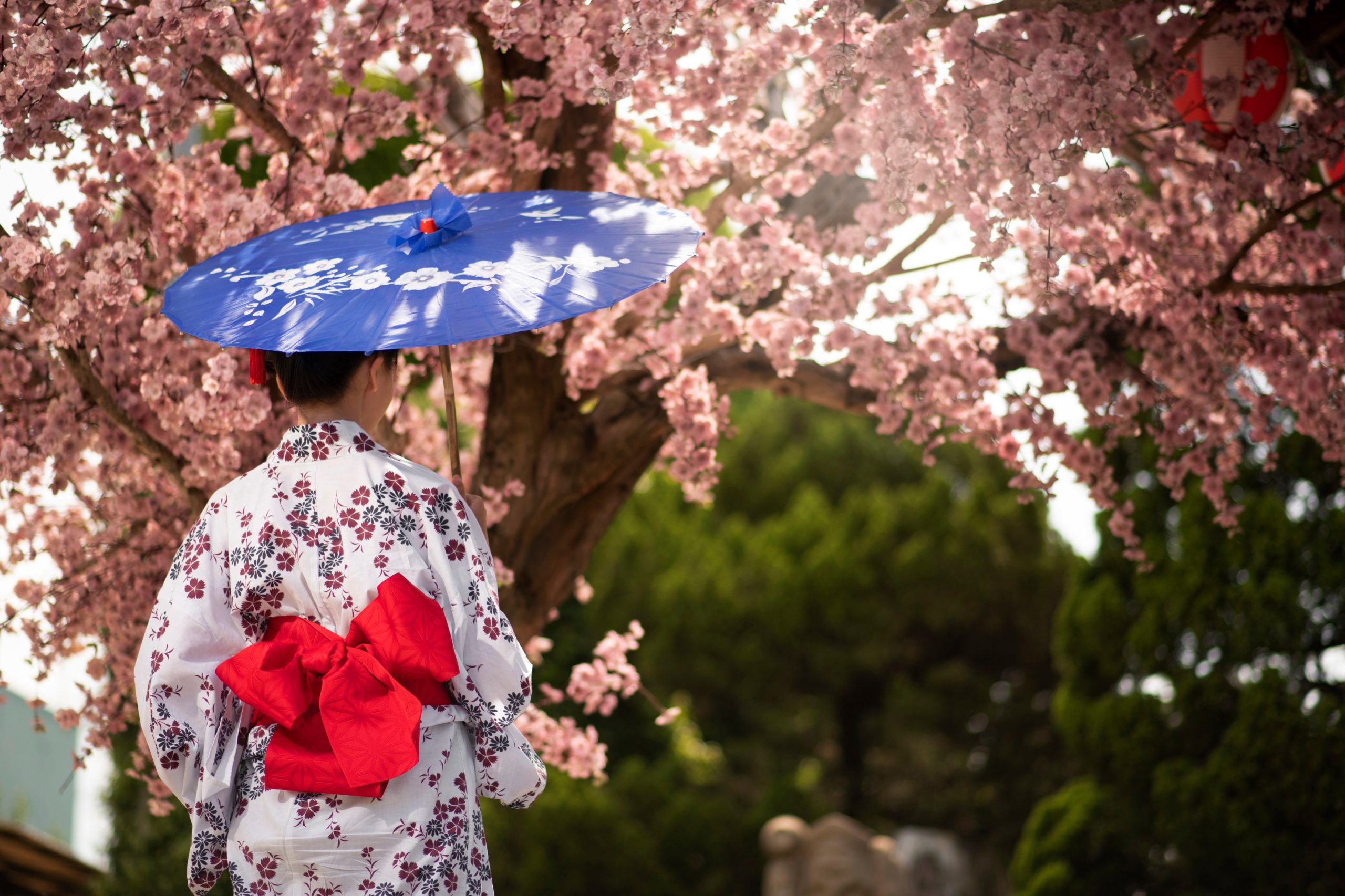 ¿Quieres la Luna de Miel perfecta? Descubre por qué Japón es el destino ideal